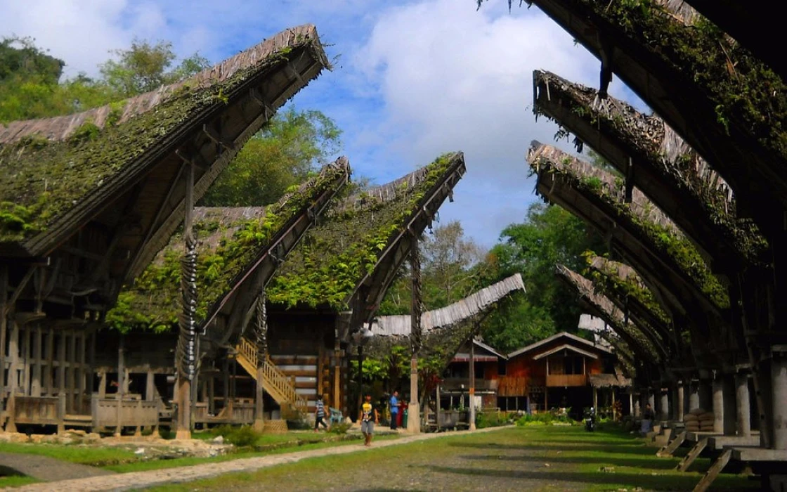 Experience City - Nature - Visitsulsel